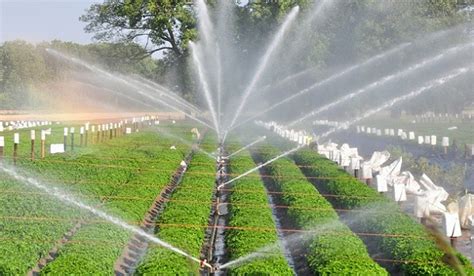 NARC launches drip irrigation project - Zameen News