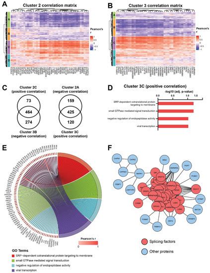 Cancers Free Full Text Proteomic Profiling Identifies Co Regulated