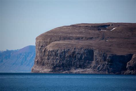 The Flowers of Kaffeklubben Island – Greenland - Atlas Obscura