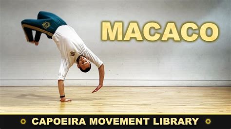 Macaco CAPOEIRA MOVEMENT LIBRARY YouTube