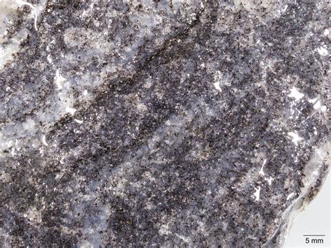 Granat-Cordierit-Gneis | Geologische Streifzüge