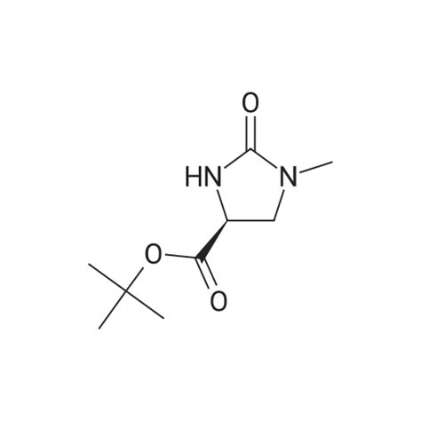 S Tert Butyl Methyl Oxoimidazolidine Carboxylate Ambeed