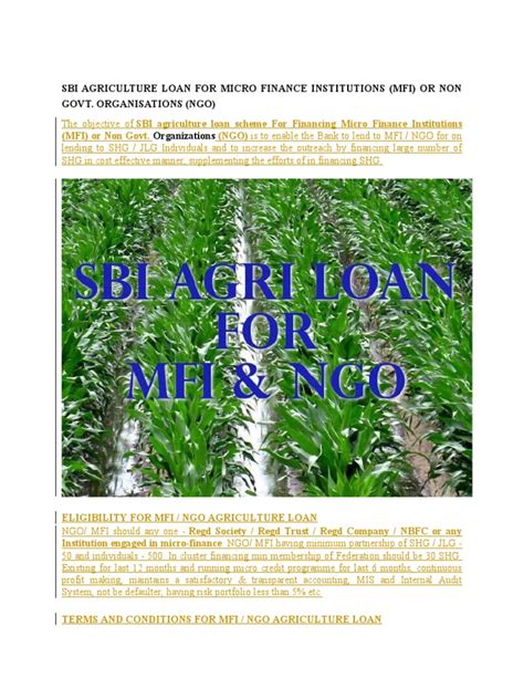 Sbi Role In Micro Finance Pdf Microfinance Loans