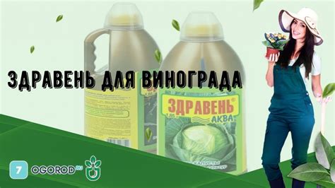 Здравень для винограда - YouTube