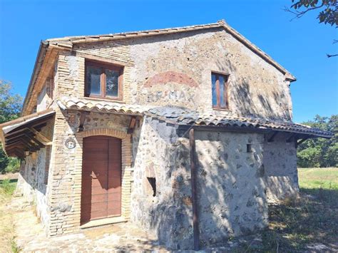 Vendita Rustico In Contrada Torraccia 20 Castel Giorgio Ottimo Stato