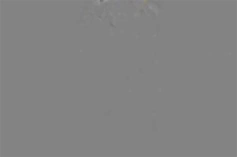 Two Bbc Fuck Mexican Freak And Anal Fuck