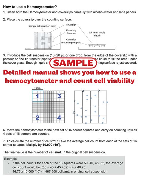 Cell Counting With A Hemocytometer As Easy As 1 2