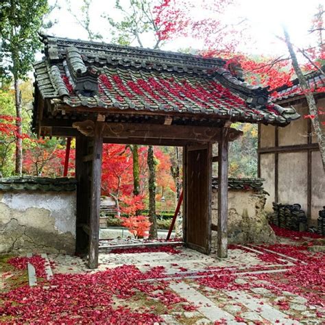 大本山永平寺御直末寺 光明寺 北区 21人の訪問者 から 1つのtip 件