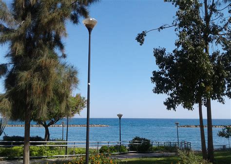 Free Images Sky Sea Beach Within Walking Green Trees Daytime