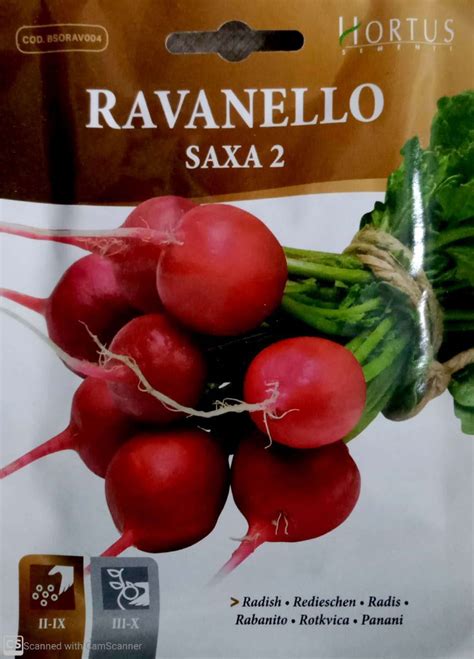 Radish Seeds - Green Experts Landscape LLC