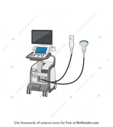 Free Echocardiogram With Ultrasound Probes Icons Symbols And Images