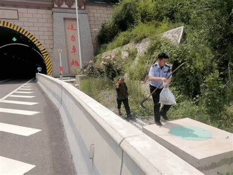 老人结伴横穿高速，交警发现及时劝返高速公路洛阳风险