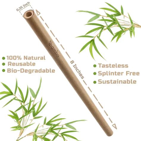 10 Reasons Why Bamboo Reusable Straws Are Better Than Plastic Straws