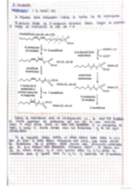 SOLUTION Metabolismo De Lipidos Studypool