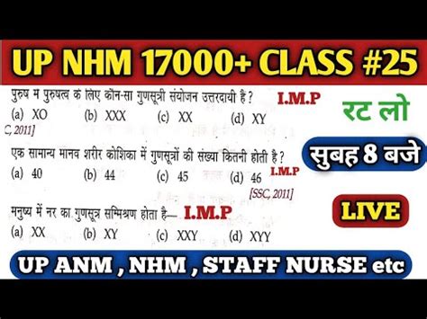 Up Nhm Class Up Nhm Anm Classes Up Nhm Anm Staff Nurse