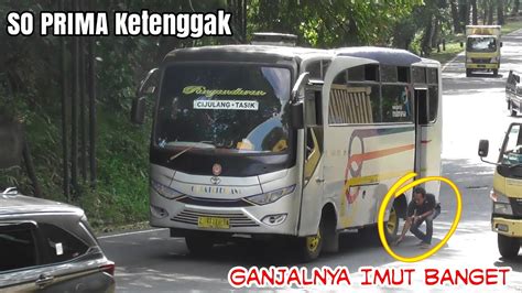 Bus So Prima Ketenggak Bawa Ganjal Kok Imut Banget Bus Pahala Kencana