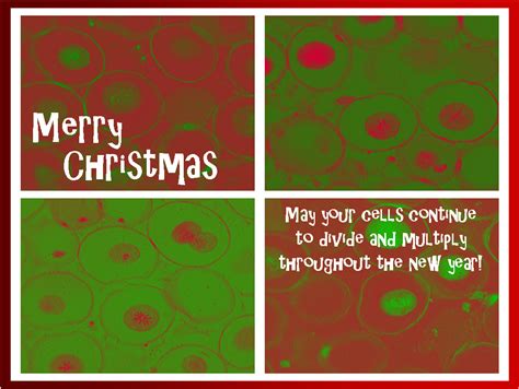 Merry Christmas Biology Students Mindful Ramblings