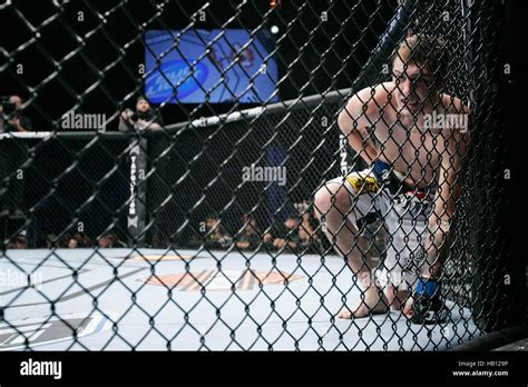 Ufc Fighter Dan Lauzon Doubles In Pain After Being Kicked In The Groin