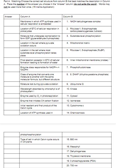 Solved Part A: Matching-Choose the correct cell structure | Chegg.com 