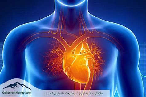 درمان بیماری های قلبی درمان خانگی بیماری قلبی با عسل