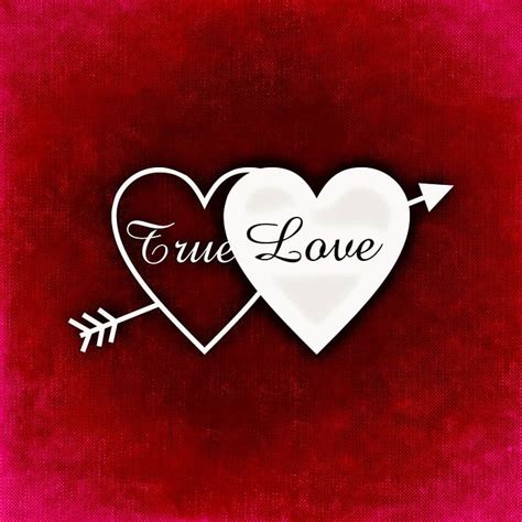 Free illustration: True Love, Heart, Greeting Card - Free Image on ...