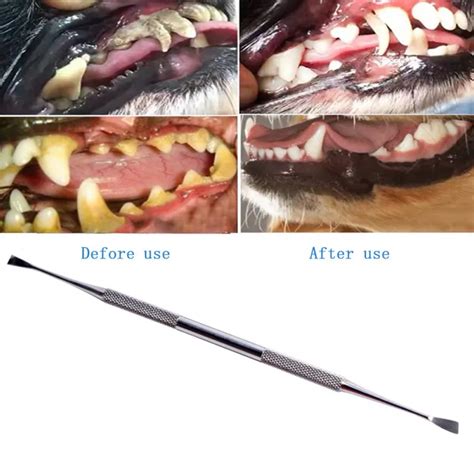 how to clean dog teeth tartar