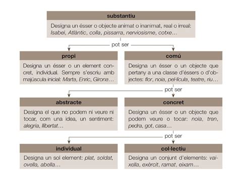 Noms Aula de català