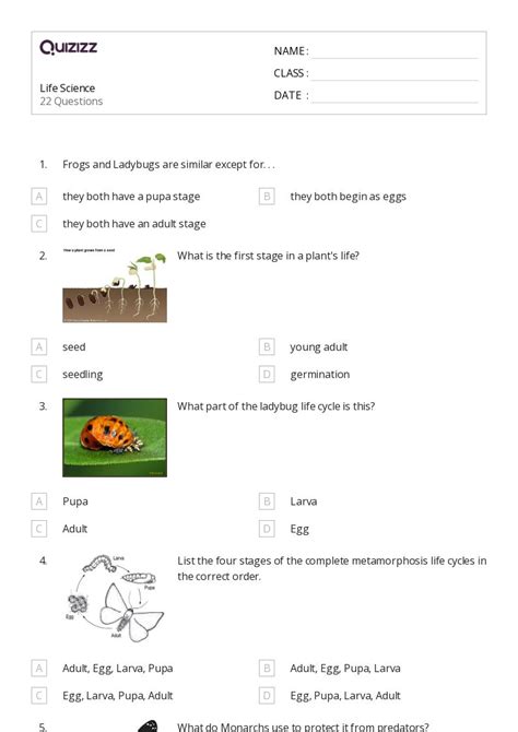 Life Science Worksheets For Rd Class On Quizizz Free Printable