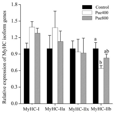 Effects Of Puerarin On The Relative MRNA Expressions Of Myosin