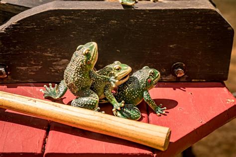 Mature Teaching Sex To Boy Stock Photos Free Royalty Free Stock Photos From Dreamstime