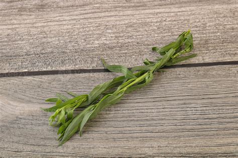 Green tarragon herb spice for cooking 43422195 Stock Photo at Vecteezy