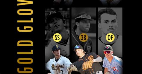 MLB Stories - 2022 MiLB Gold Glove winners