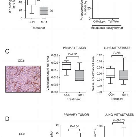 Suppression Of Lung Metastasis By D In The T Model Is Associated