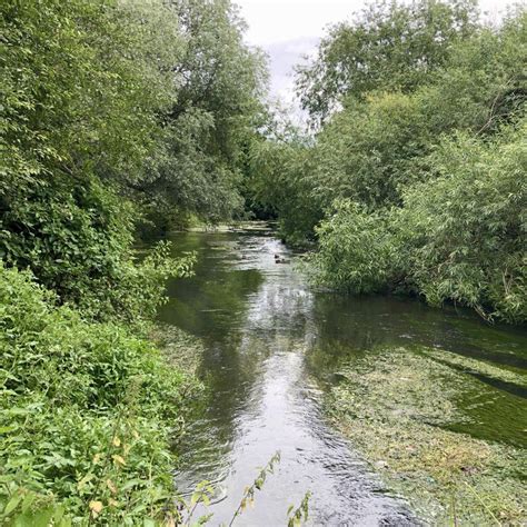 Green London — Where my wheels go