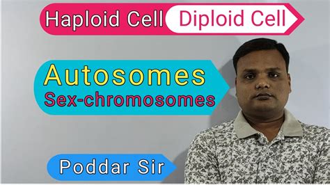 Haploid Diploid Cells Autosomes Sex Chromosomes Genome Gametes Homologous Chromosomes Youtube