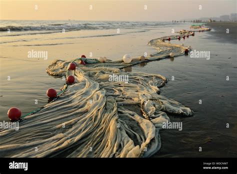 The Very Long Fishing Net Lying On The Longest Beach Cox S Bazar In