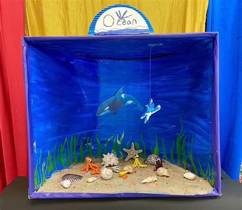 Events - Ocean Diorama Craft – Wonthaggi Library - myli