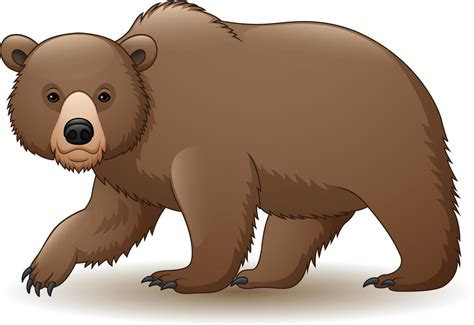 Urso Pardo De Desenho Animado Vetor No Vecteezy