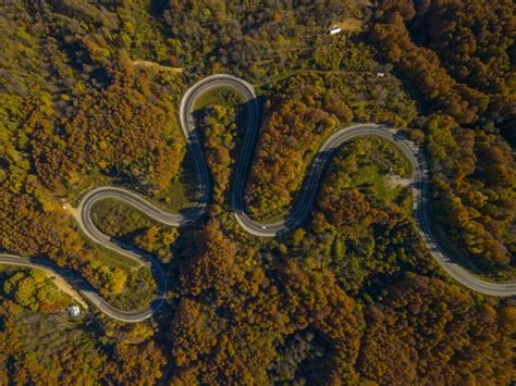 Aerial View Of Winding Road Through The Dense Woods On The High