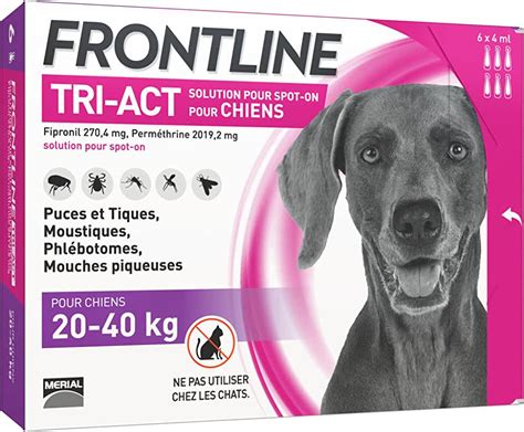 Anti Puces Poux Et Tiques Pour Chiens Amazon Fr