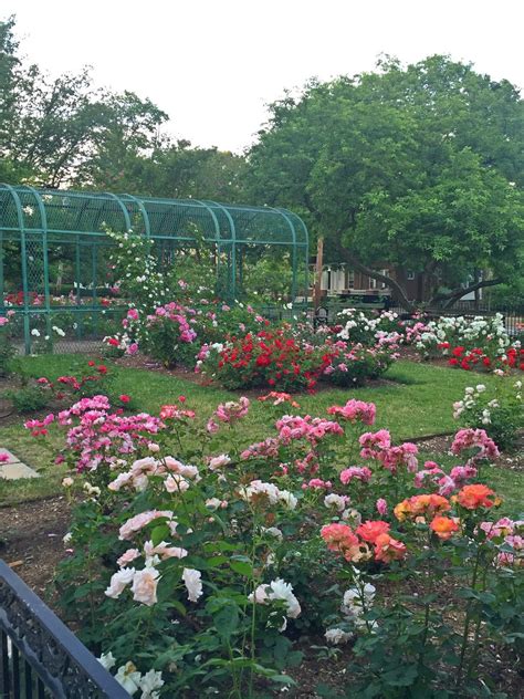 Perfect Summer Weekend Moments - B Loved Boston