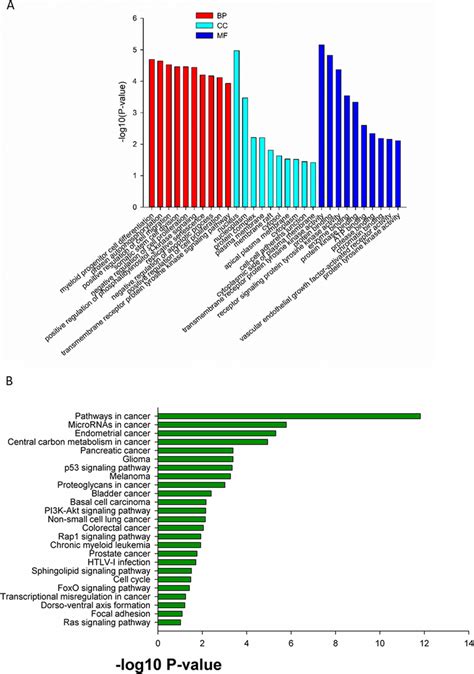 The Go Analysis A And Kegg Pathway Analysis B Of Mutated Genes In