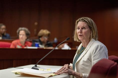 Georgia House speaker aims to persuade resistant Republicans in voucher ...