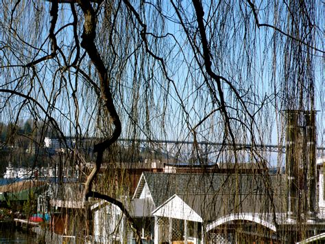 Seattle Saunter around Lake Union - Yoga by Fran Gallo