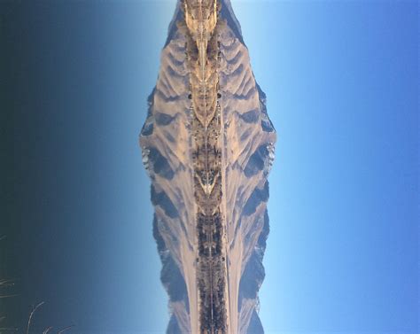 Real picture turned 90⁰. What does your mind see? [OC] | Scrolller