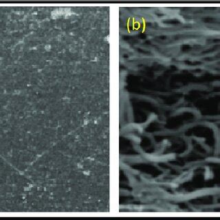 Sem Images Of The Bare Cce Electrode A And Modified Cce With Mwcnt B