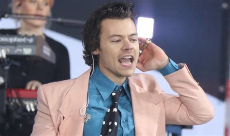 Harry Styles Helps Fan Come Out As Gay To Her Mom During Concert MyTalk 107 1