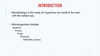 Introduction History Of Microbiology PPT