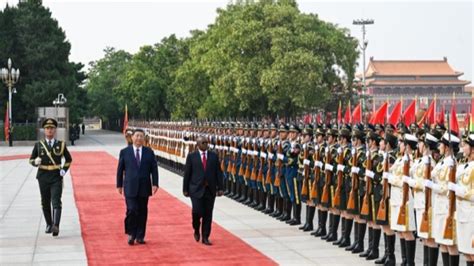 Chinese Guinea Bissau Presidents Hold Talks Elevate Ties SHINE News