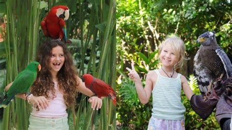 Harga Tiket Masuk Bali Bird Park Terbaru 2024 Dan Link Pembelian